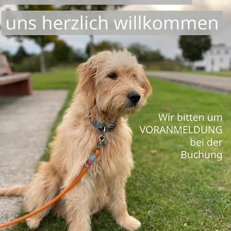 Johan - Ideal Fuer 1-2 Personen, Eigene Terrasse شقة *