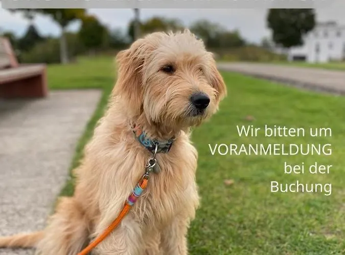 Johan - Ideal Fuer 1-2 Personen, Eigene Terrasse Appartement *